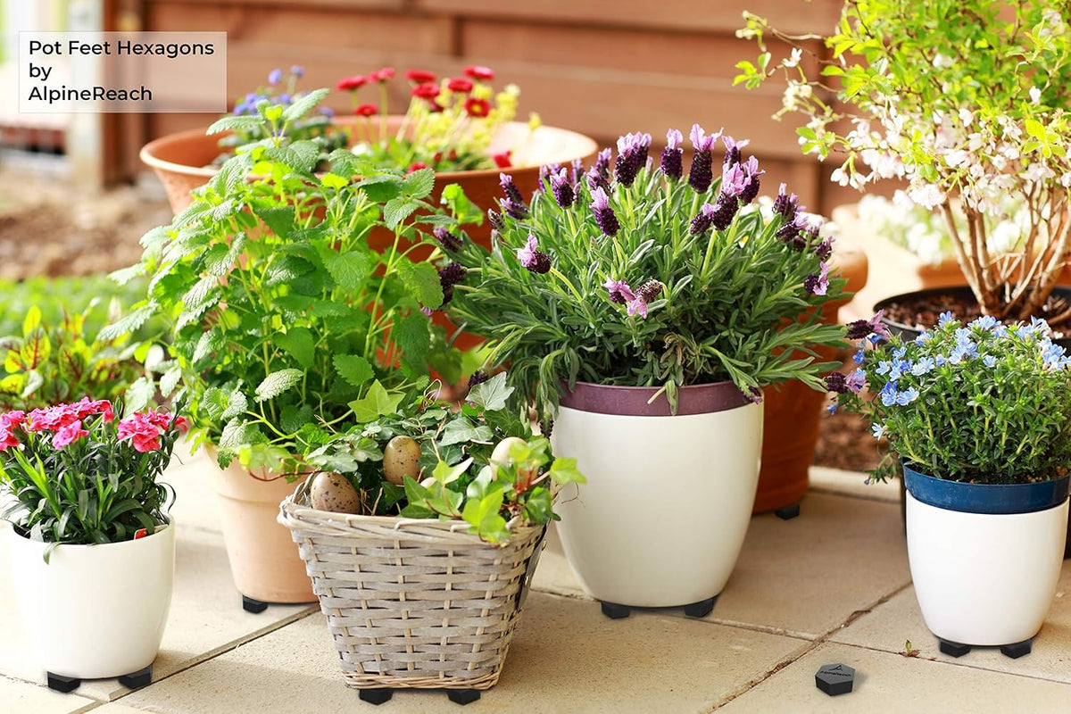 AlpineReach Extra Heavy Duty Pot Feet Risers 20 Pack Hexagons & Adhesive Pads - Protect Healthy Plants - Strong Invisible Supports Small Large Flower Planters Stability - Outdoor Lifter Toes Elevator
