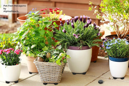 AlpineReach Extra Heavy Duty Pot Feet Risers 20 Pack Hexagons & Adhesive Pads - Protect Healthy Plants - Strong Invisible Supports Small Large Flower Planters Stability - Outdoor Lifter Toes Elevator